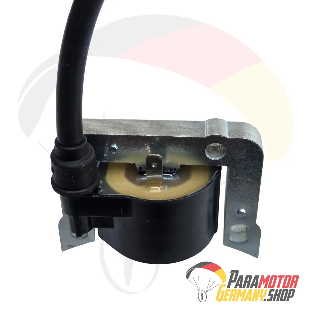 AT031 Electronic ignition coil with Spark-plug cap and Bolts | Vittorazi