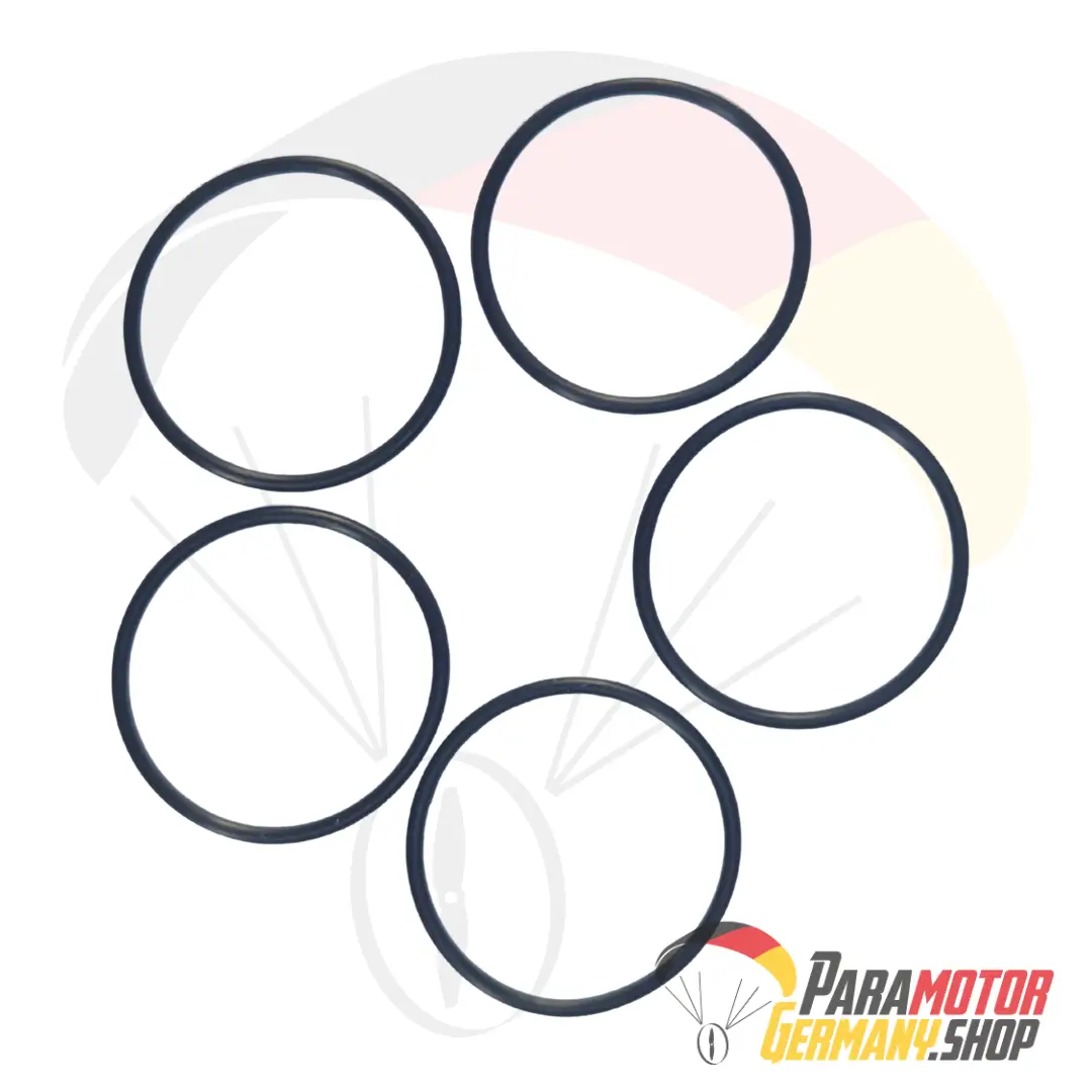 AT164.5 O-ring viton 17 x 1,00 mm (Set of 5) | Vittorazi
