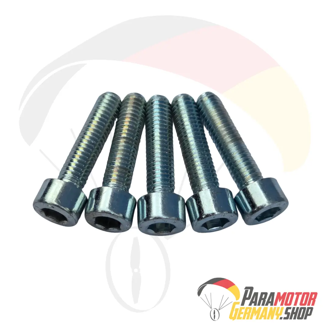 M112.5 Bolt 6 x 25 mm Tcei DIN 912 (Set of 5) | Vittorazi