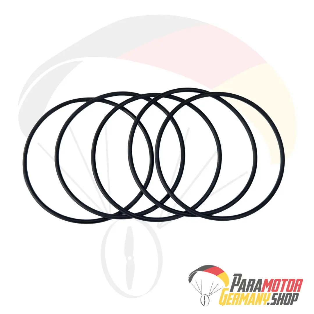 C091a.5 O-ring viton Ø 40 x 1,5 mm (Set of 5) | Vittorazi