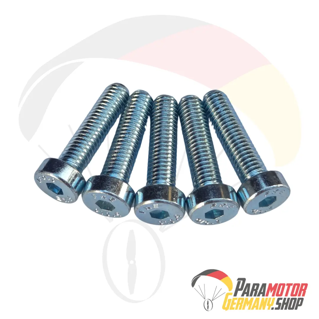 M039.5 Bolt 5 x 20 mm Tcei 10.9 DIN 7984 (Set of 5) | Vittorazi